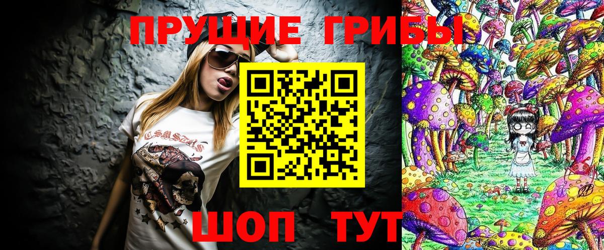 Котовск  Псилоцибиновые грибы ЛСД  Вход с VPN  купить   Псилоцибиновые грибы мухоморы 