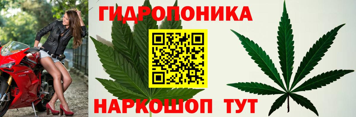 Бошки марихуана индика Котовск